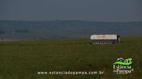 DOS EÓLICOS VIRA P FAZENDA_Moment.00_02_22_11.Quadro499_338c7a1a707ba83cc872046a0dd79a4742585f2a.jpg